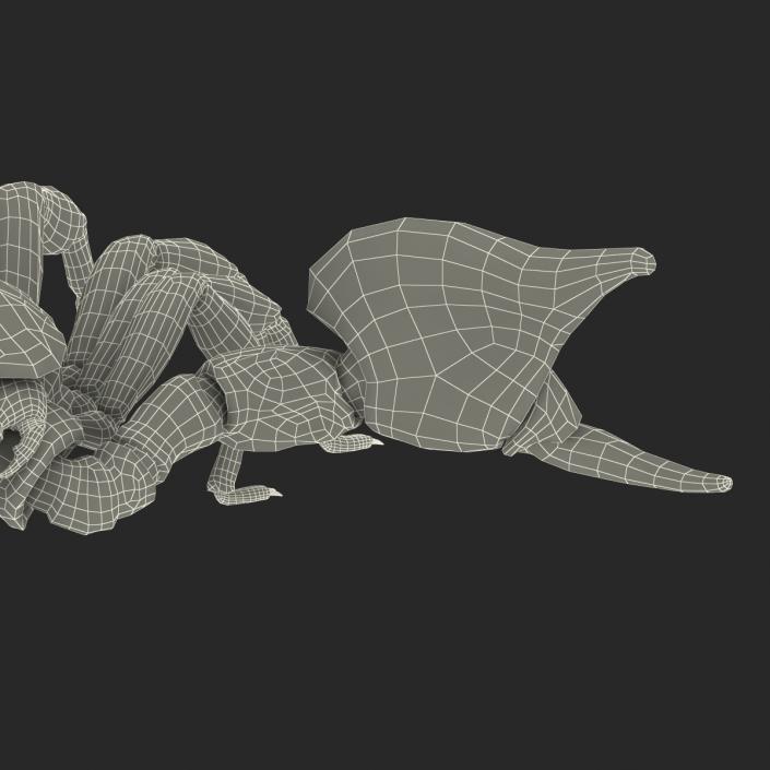 3D model Black Scorpion Pose 2 with Fur