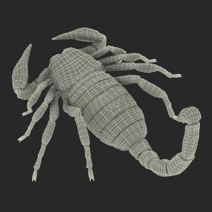 3D model Black Scorpion Pose 3 with Fur