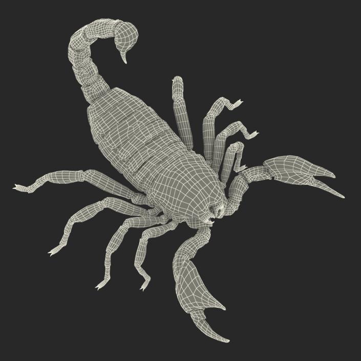3D Black Scorpion Pose 2