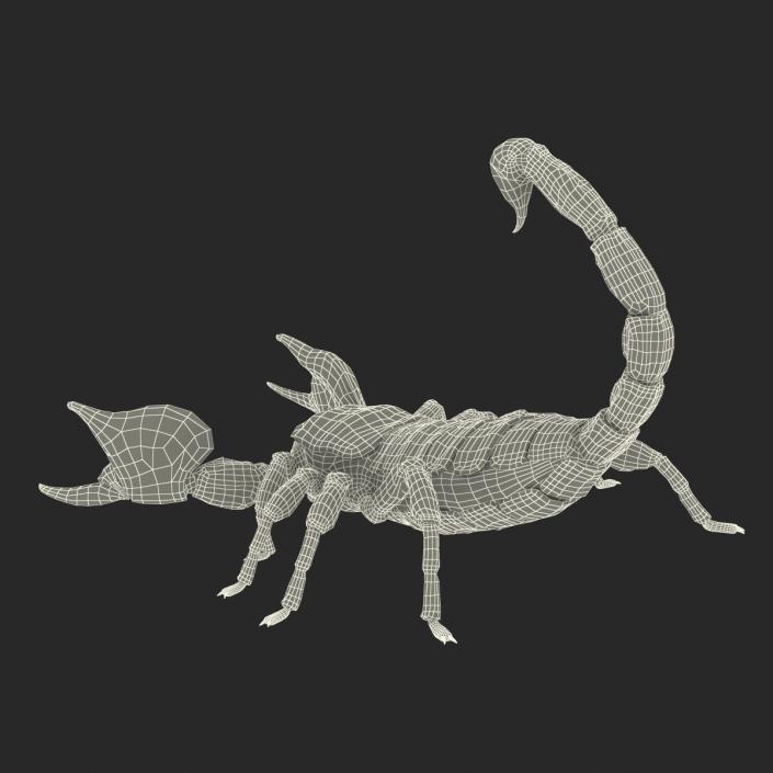 Scorpion Pose 2 with Fur 3D model