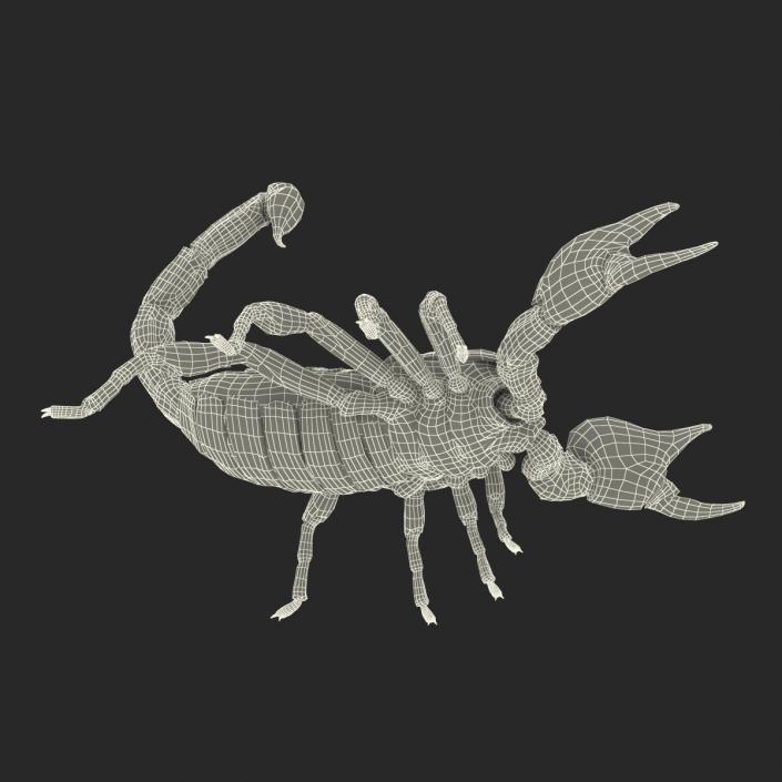 3D model Scorpion Pose 2