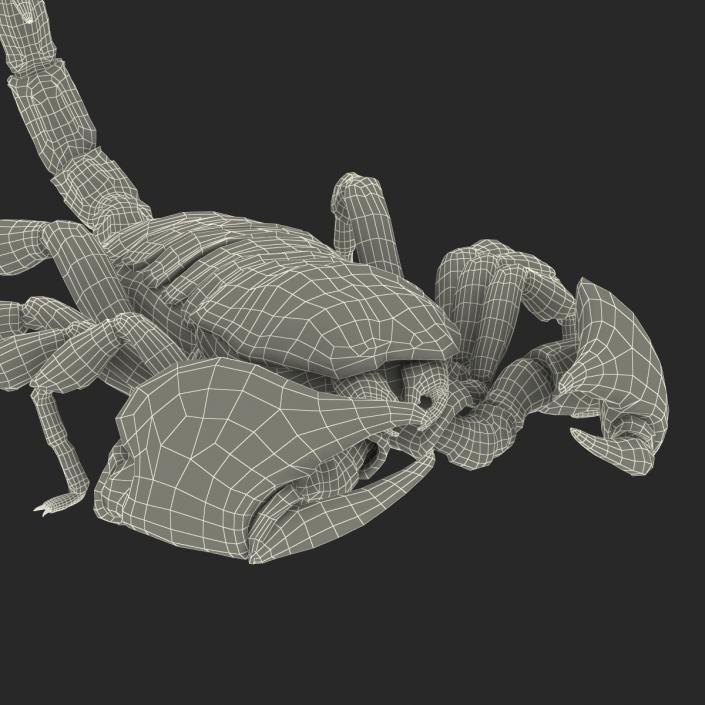 3D model Scorpion Pose 3