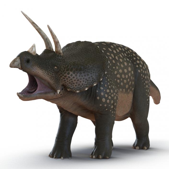 3D Triceratops Pose 2 model
