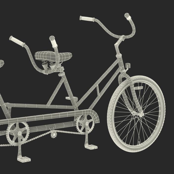 3D Bicycle Built for Two Rigged model