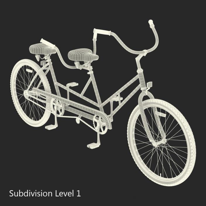 Retro Bicycle Built for Two Rigged 3D model