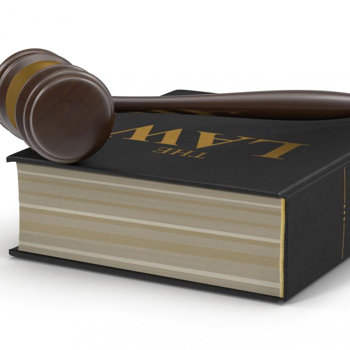 3D Law Book and Gavel model