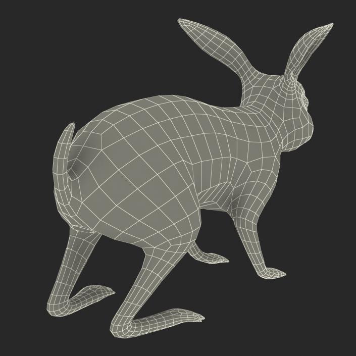 White Rabbit Rigged 3D model