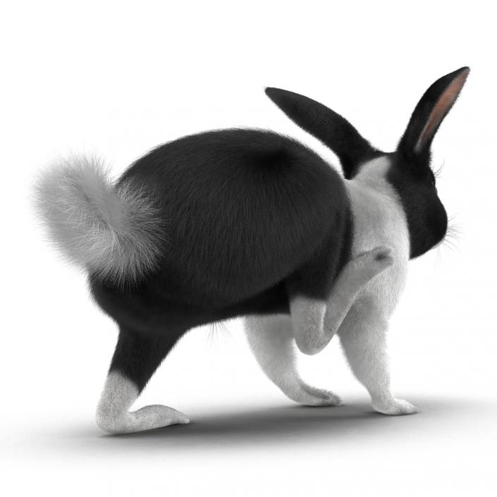 Black Rabbit Rigged 3D model