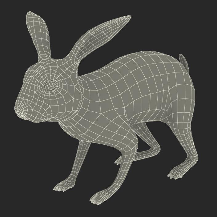 Black Rabbit Rigged 3D model