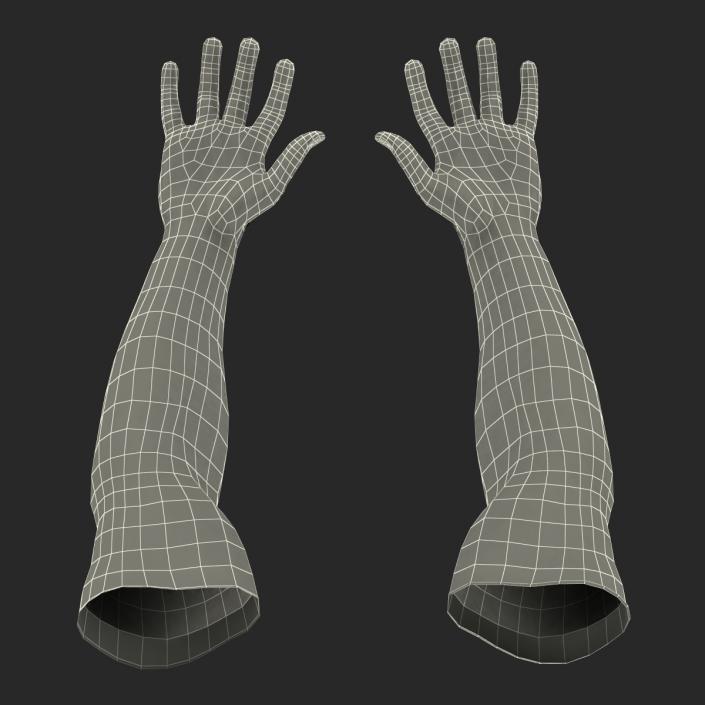 3D Biker Hands