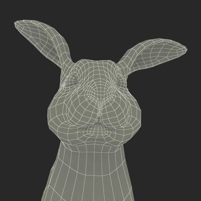 Black Rabbit Pose 3 3D model