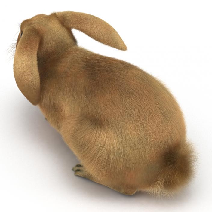 3D Rabbit Pose 2 model