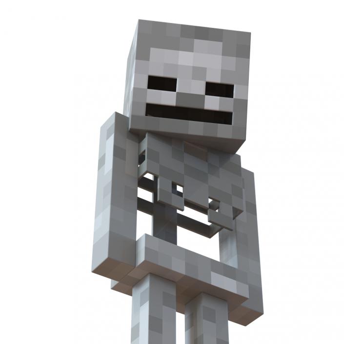 3D model Minecraft Skeleton Rigged