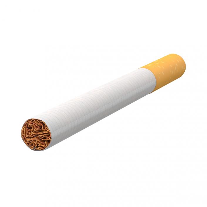 Cigarette Generic 3D