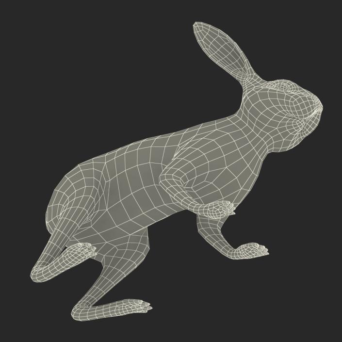 3D Rabbit Rigged model