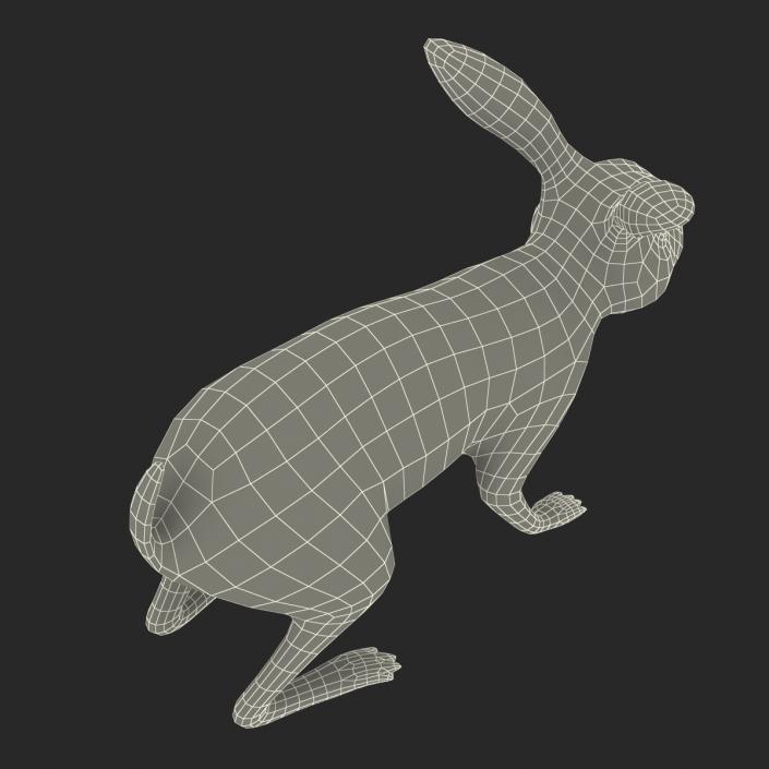 White Rabbit 3D