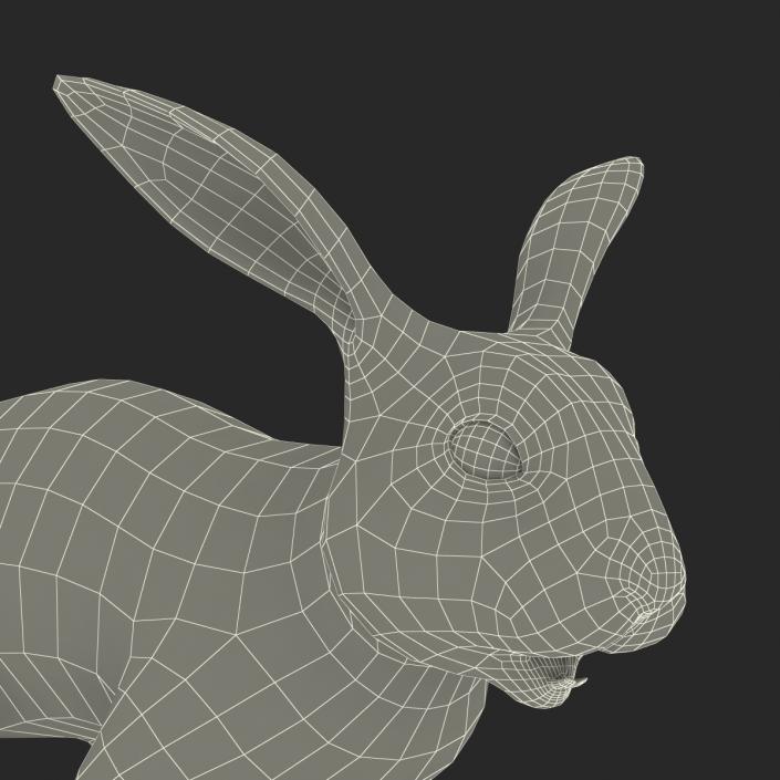 Black Rabbit 3D