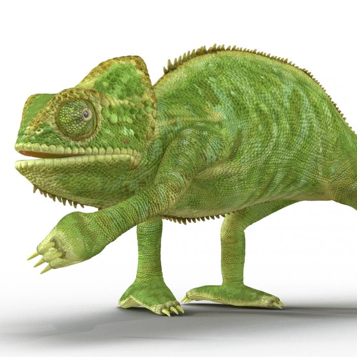 3D Chameleon Pose 3