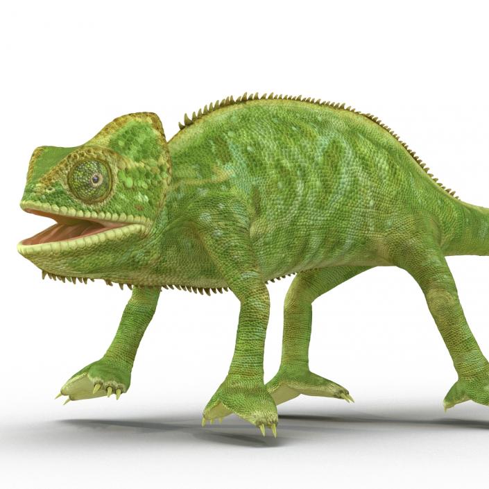 3D Chameleon Pose 4
