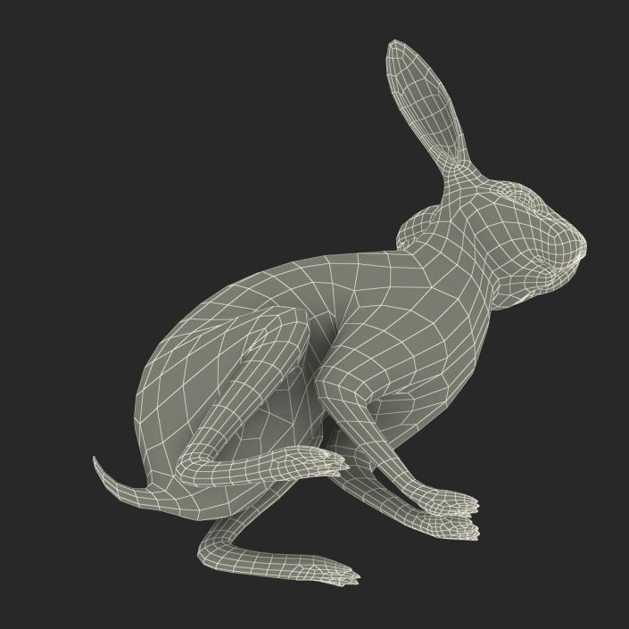 3D Rabbit Pose 3 model