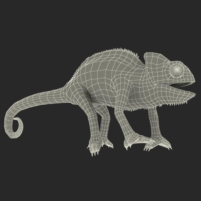 3D Chameleon Pose 4