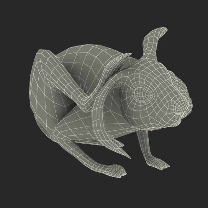 3D Rabbit Pose 4 model