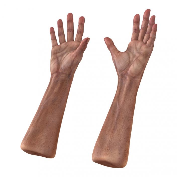 3D Old Man Hands model