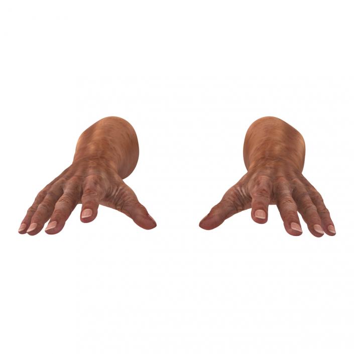 3D Old Man Hands model