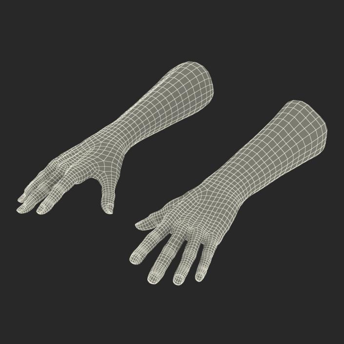 3D model Old Man Hands Rigged