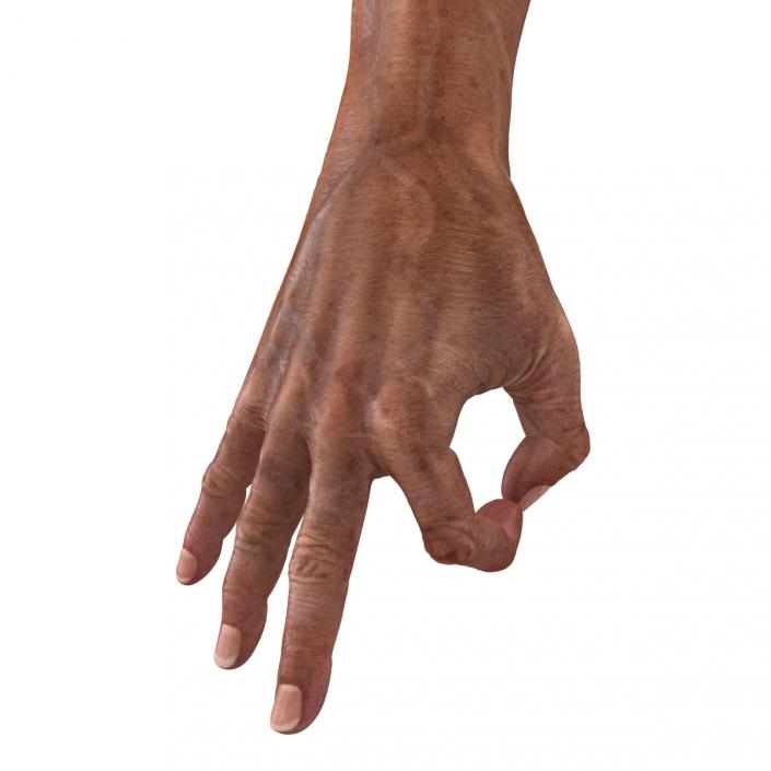 3D model Old Man Hands Pose 5