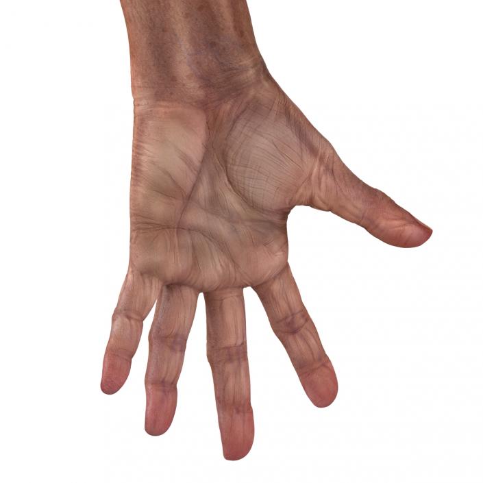 3D model Old Man Hands Pose 4