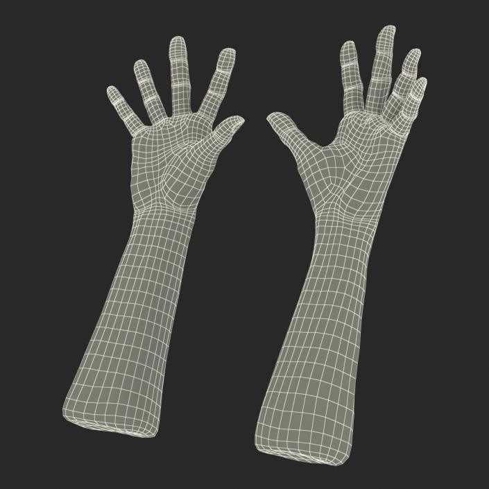 3D model Old Man Hands Pose 4