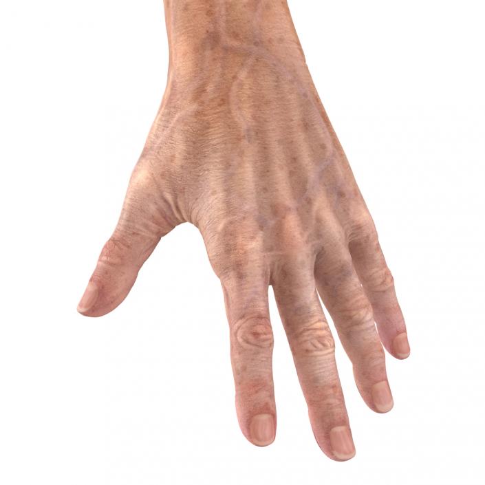 3D model Old Man Hands 3