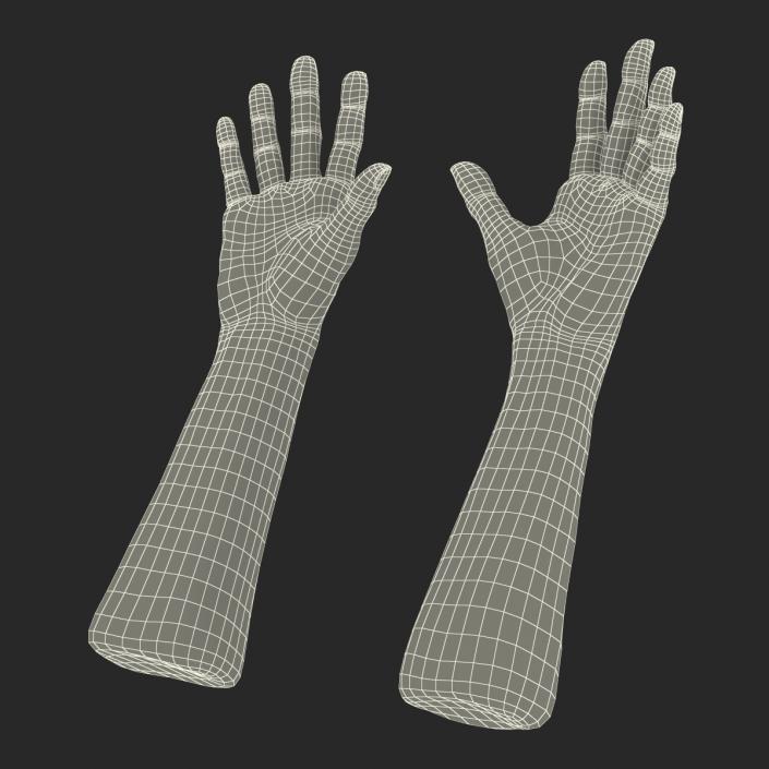 3D model Old Man Hands 3