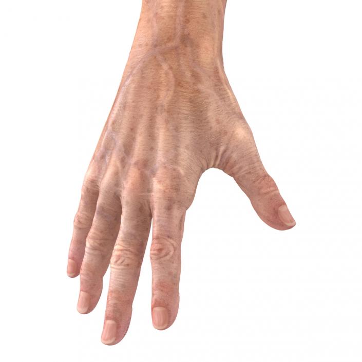 Old Man Hands 3 Rigged 3D