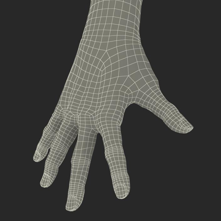 Old Man Hands 3 Rigged 3D