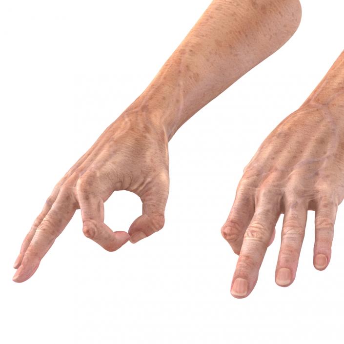 Old Man Hands 3 Pose 5 3D