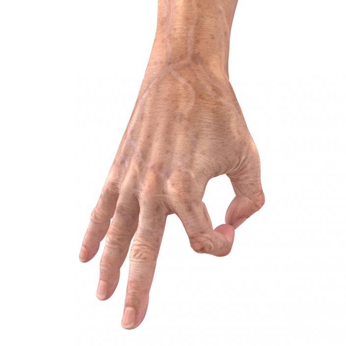 Old Man Hands 3 Pose 5 3D