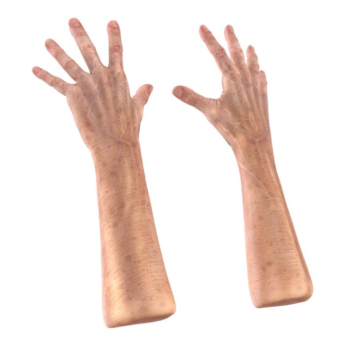 Old Man Hands 3 Pose 4 3D