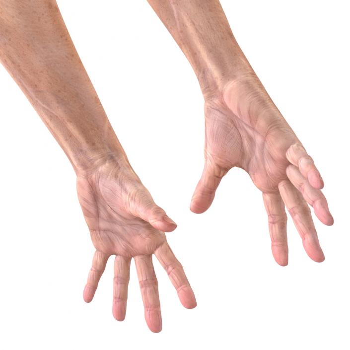 Old Man Hands 3 Pose 4 3D
