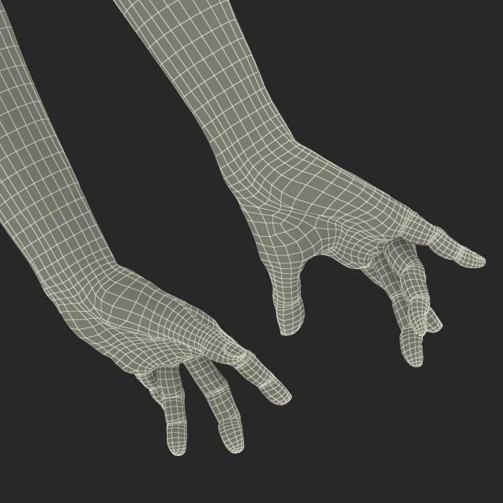 Old Man Hands 3 Pose 3 3D