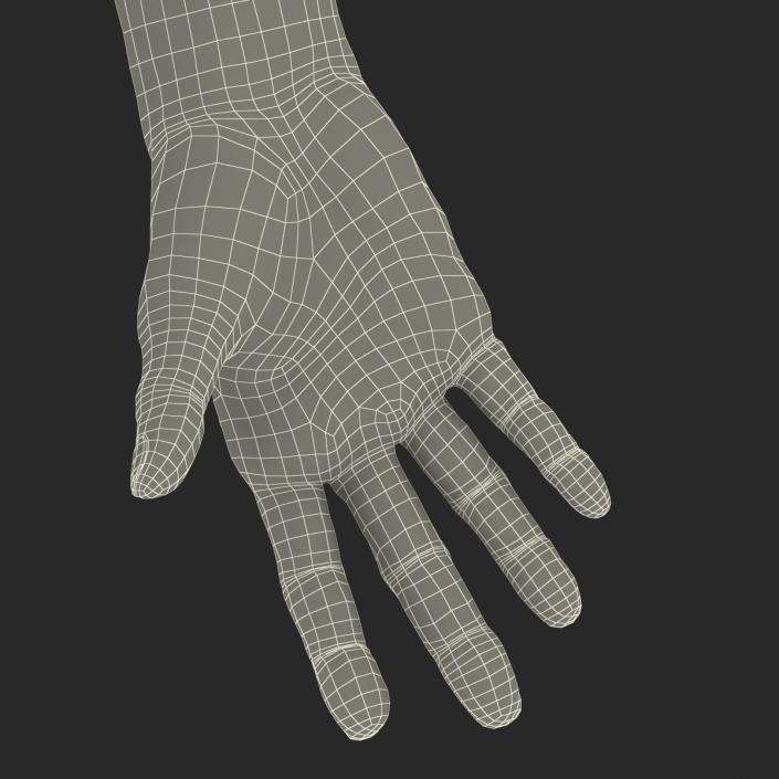 3D model Old Man Hands 2