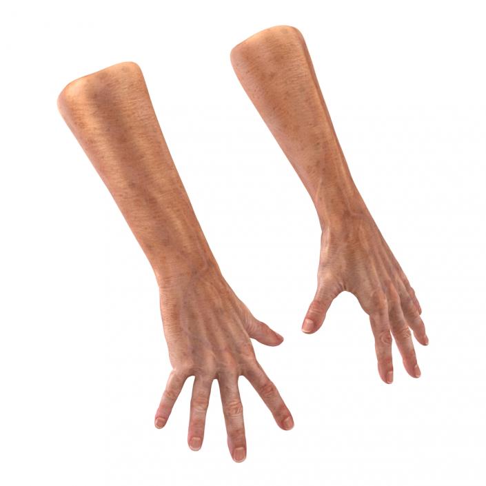 Old Man Hands 2 Rigged 3D