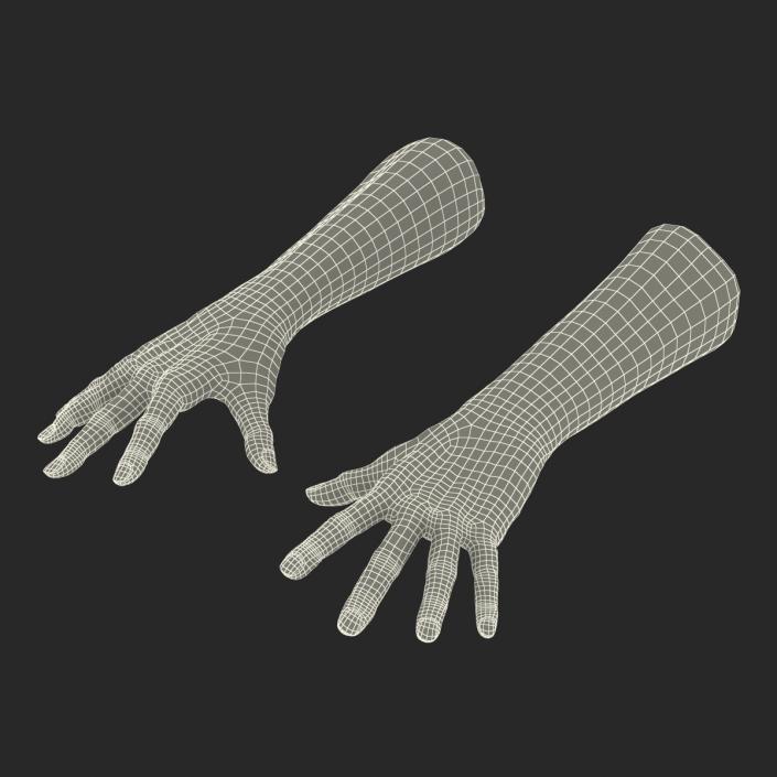 Old Man Hands 2 Rigged 3D