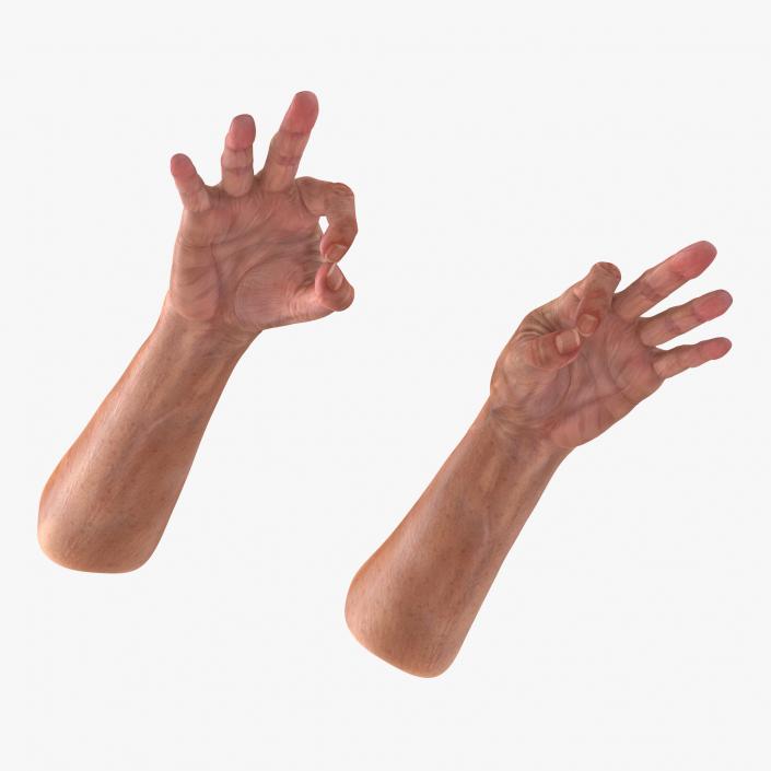 Old Man Hands 2 Pose 5 3D