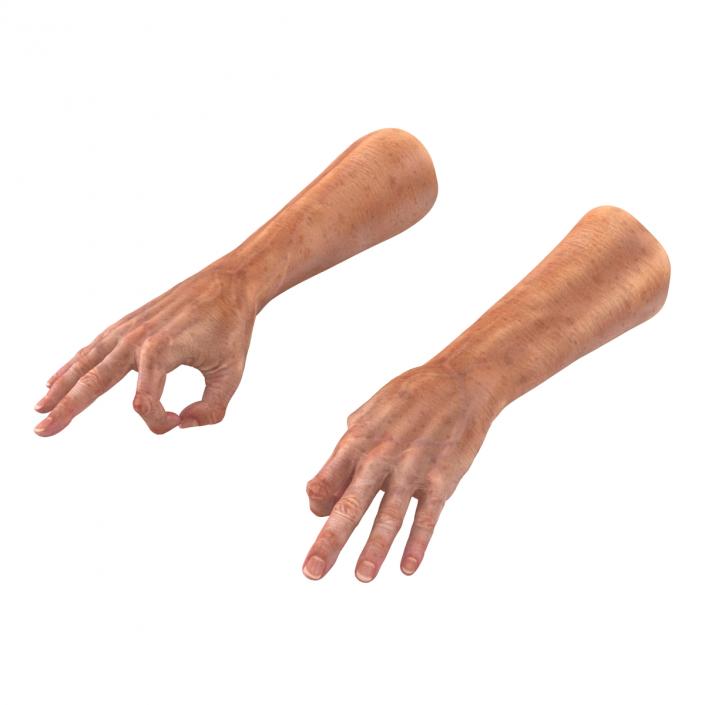 Old Man Hands 2 Pose 5 3D