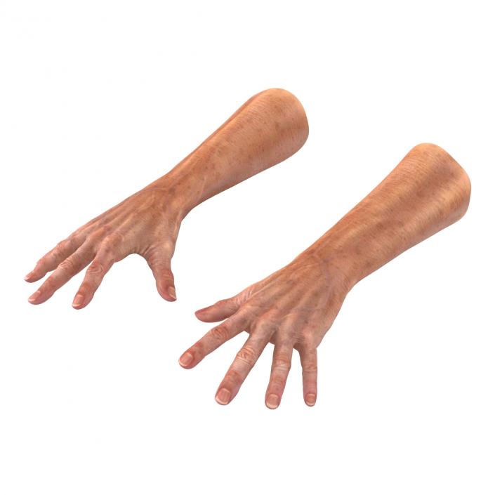 Old Man Hands 2 Pose 4 3D