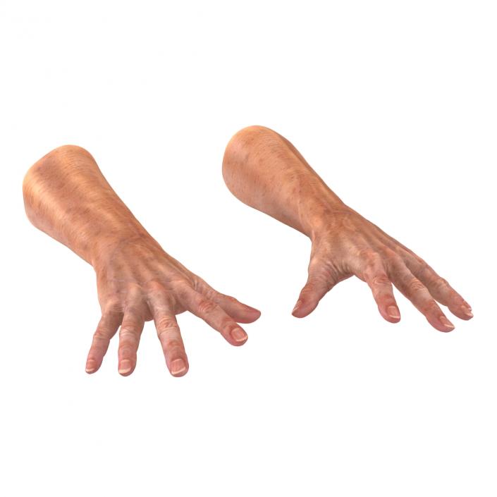 Old Man Hands 2 Pose 4 3D