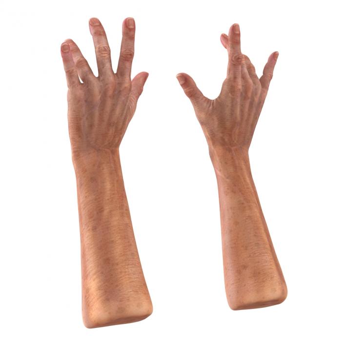 Old Man Hands 2 Pose 3 3D