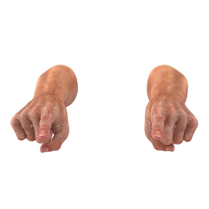 Old Man Hands 2 Pose 2 3D